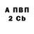 Amphetamine Premium Anastasia Shaydullina