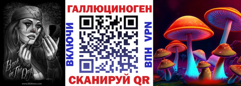 Псилоцибиновые грибы GOLDEN TEACHER  Заполярный 